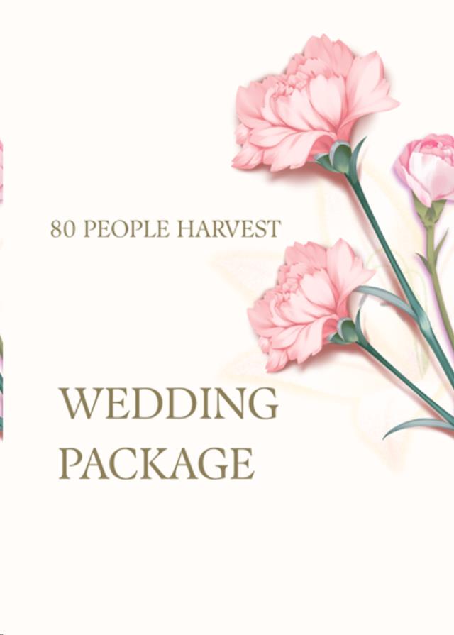 Rental store for WEDDING PACKAGE, 80 PPL HARVES in Kamloops BC